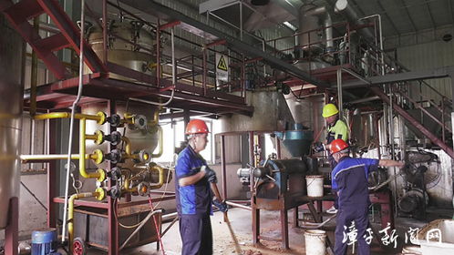 變廢為寶增效率,漳平推進資源節約促綠色發展